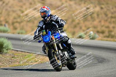 media/May-31-2025-Classic Track Day (Sat) [[da23ab3028]]/Group C/Session 1 (Turns 3 and 5)/